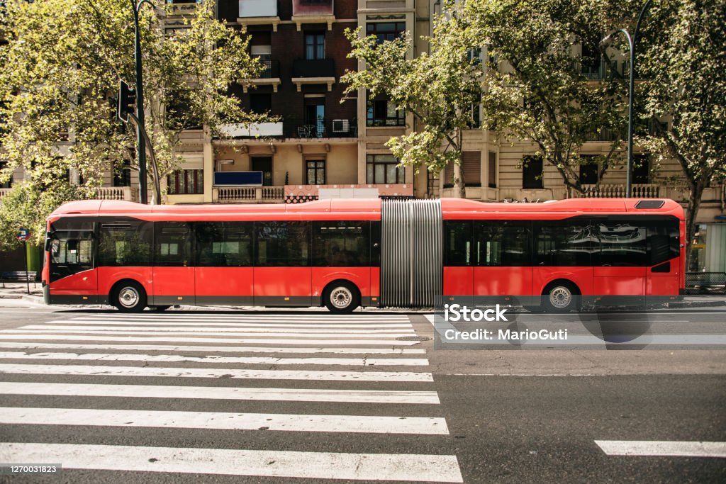 Autobus