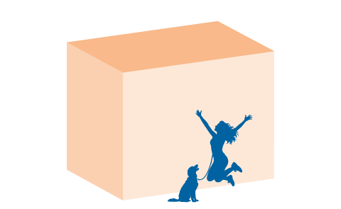 Dimensioni Box Large
